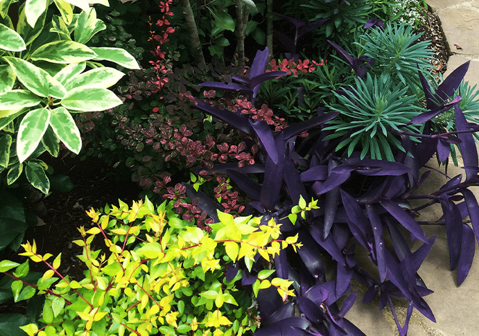 ご相談・お問い合わせ